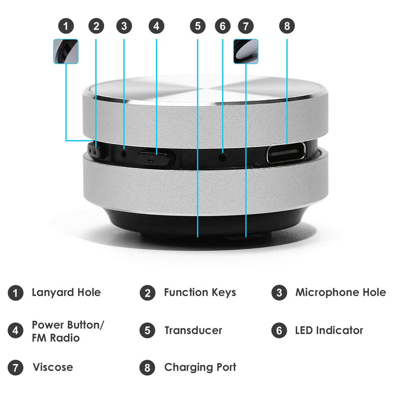 Bone conduction hummingbird speaker