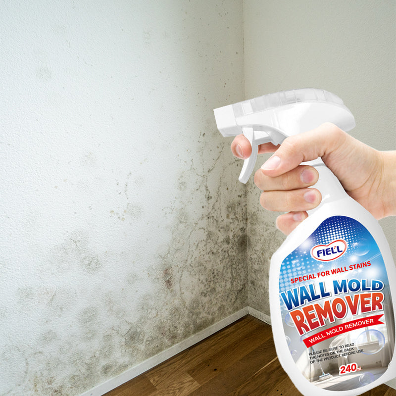 Lanwexy Highly Effective Mould Removal Spray