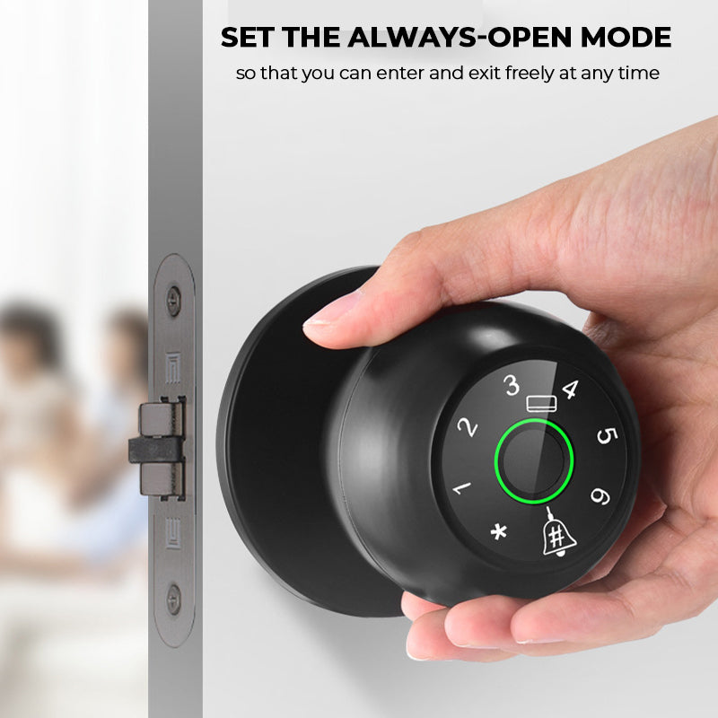 Semiconductor fingerprint lock
