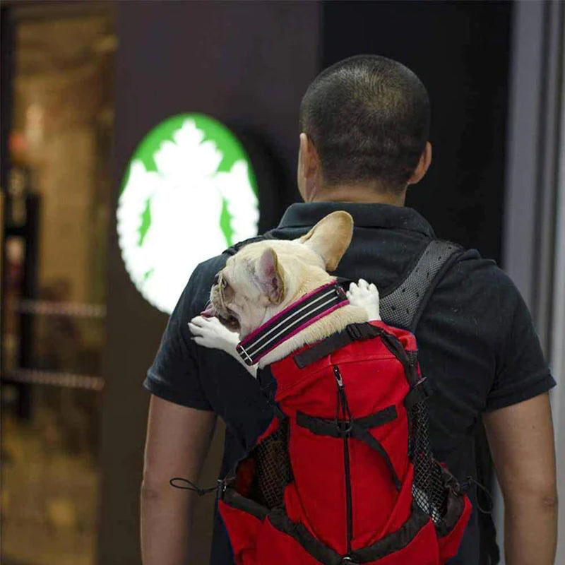 Breathable Travel Backpack For Pet Dog And Cat