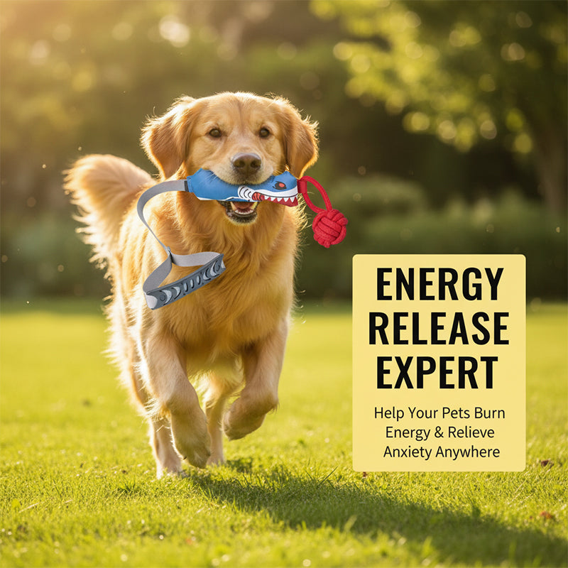 Pet Tug-of-War Interactive Toys