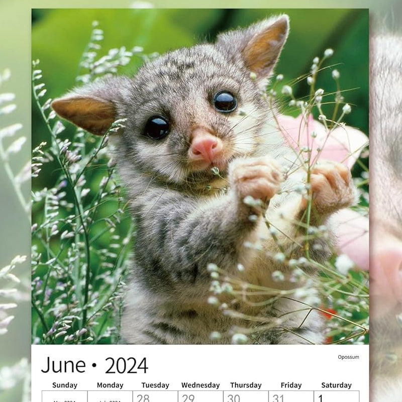 2024 Animals Wall Calendar