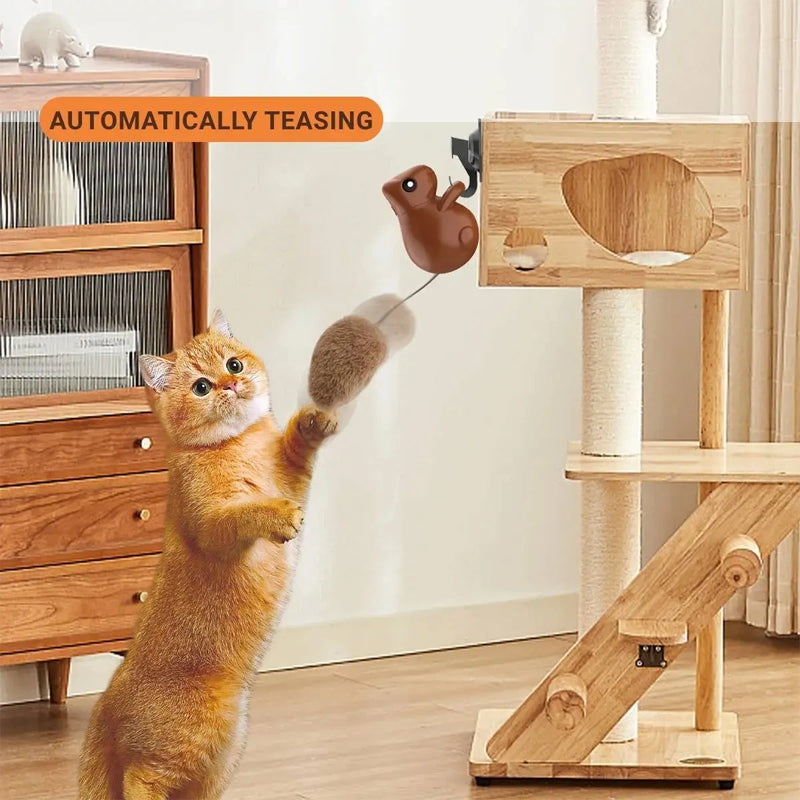 Squirrel Smart Cat Toy