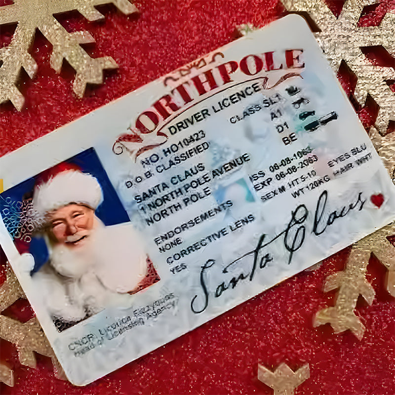 🎅Santa's Lost Drivers License|Funny Gifts For Kids