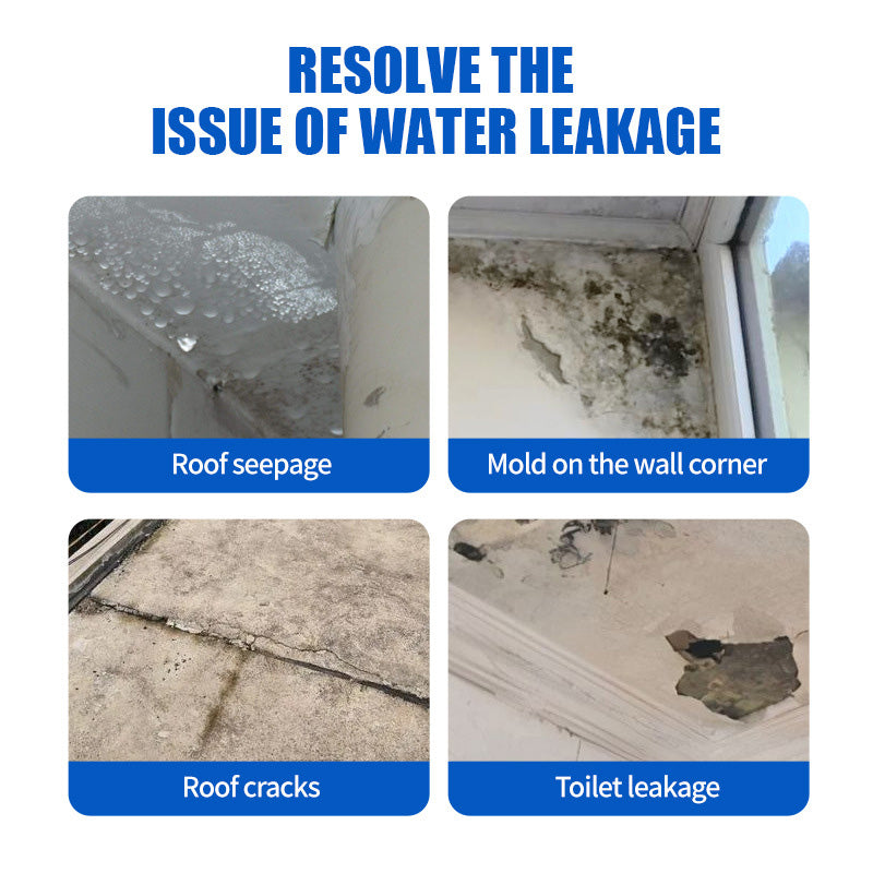 Leak Repair Waterproof Coating