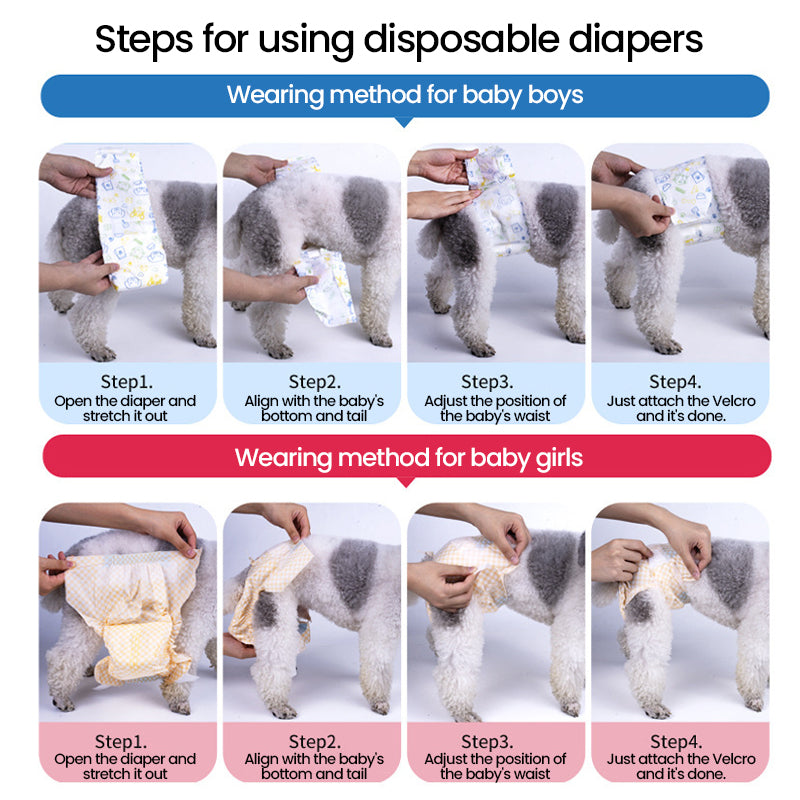 Leak-Proof & Fast-Absorb Pet Diapers