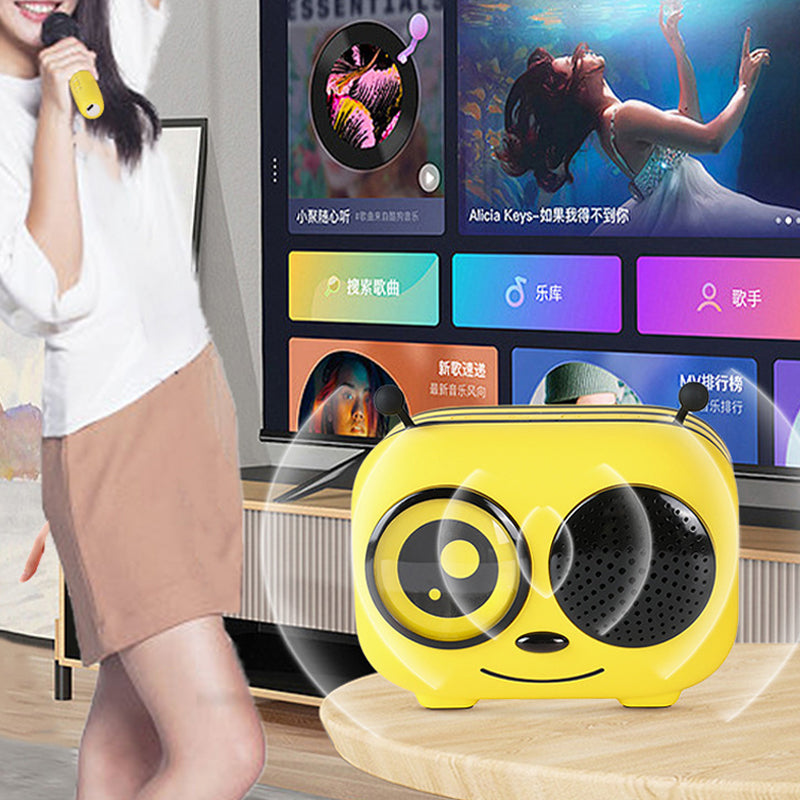 Mini Karaoke Machine for Kids Adults