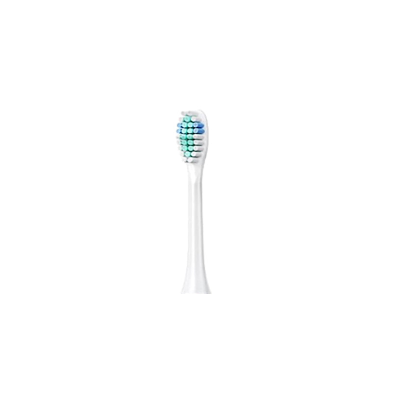 Adult Sonic Electric Toothbrush