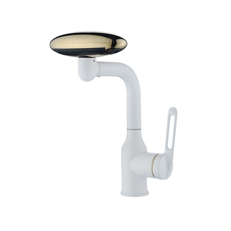Universal Multi-Function Rotate Spray Faucet