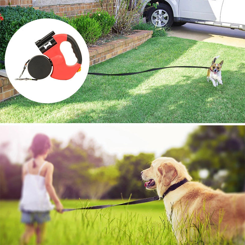 Pet automatic double leash