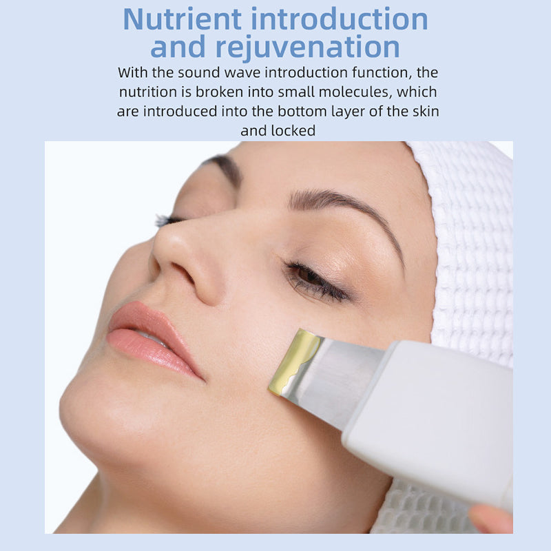 Ultrasonic Ionized Skin Beautifier