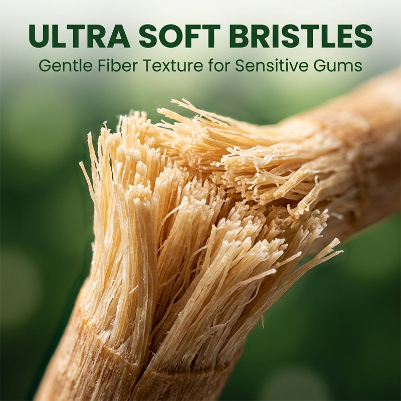 Miswak Natural Tooth Stick (Vacuum-Sealed)