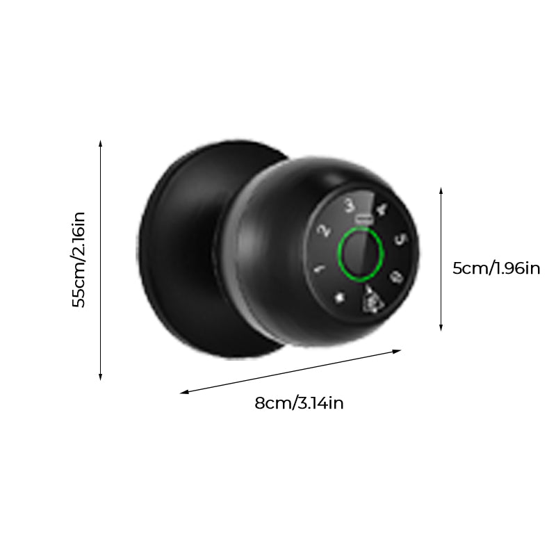 Semiconductor fingerprint lock