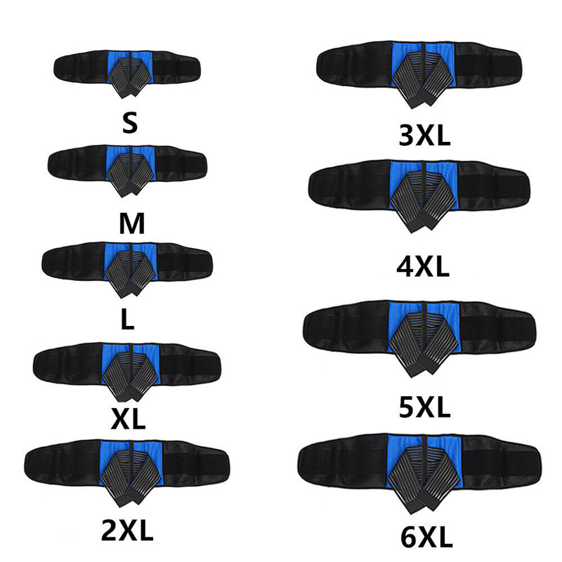 Lower lumbar back support brace