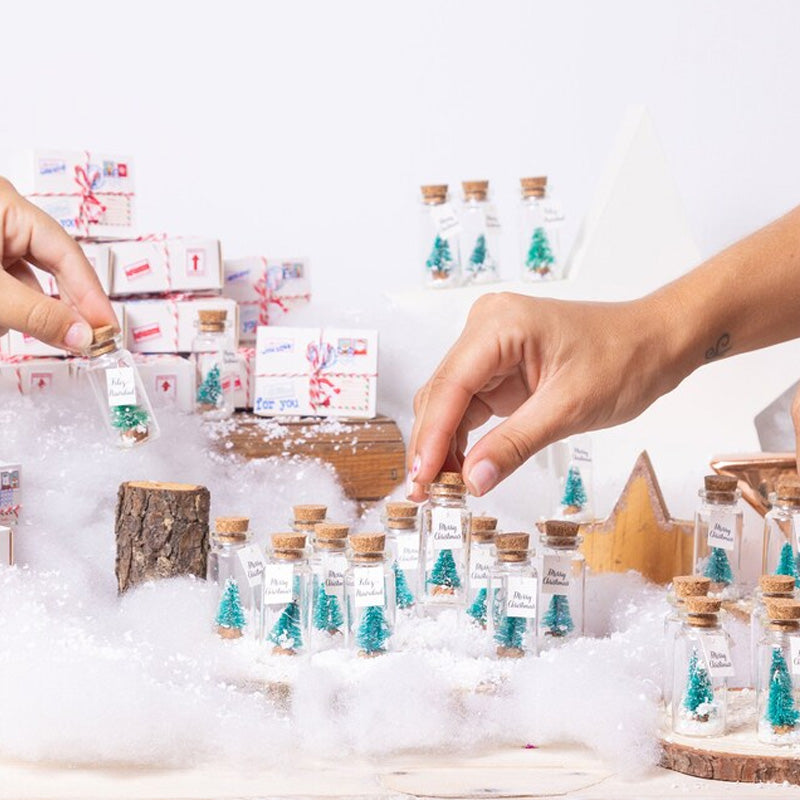 Christmas Card in a Bottle