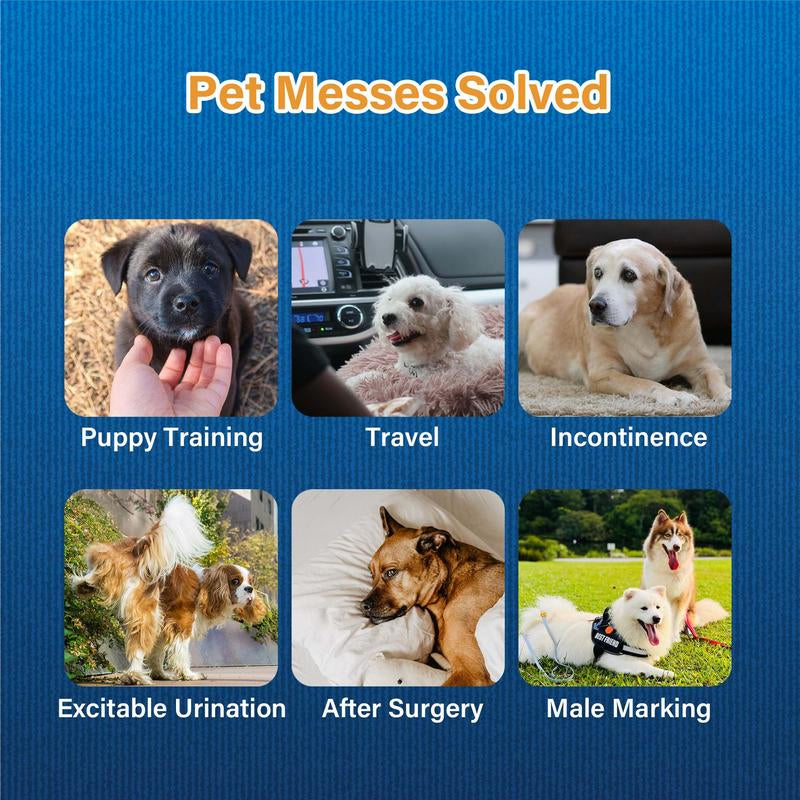 Leak-Proof & Fast-Absorb Pet Diapers