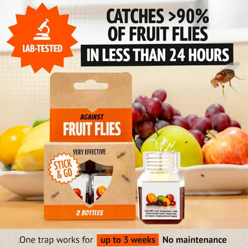 Fruit Fly Traps