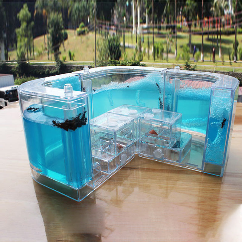 Ant Home Ecological Toys