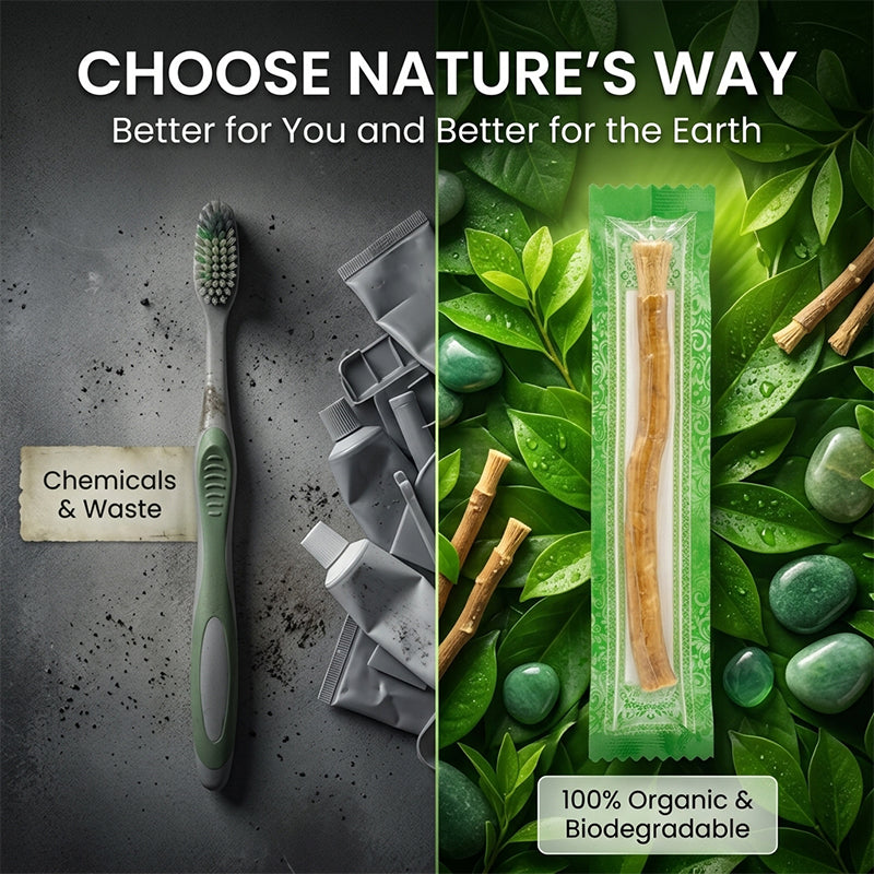 Miswak Natural Tooth Stick (Vacuum-Sealed)