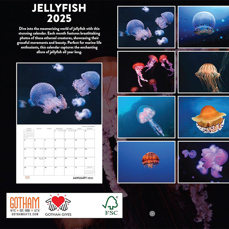 2025 Jellyfish Calendar