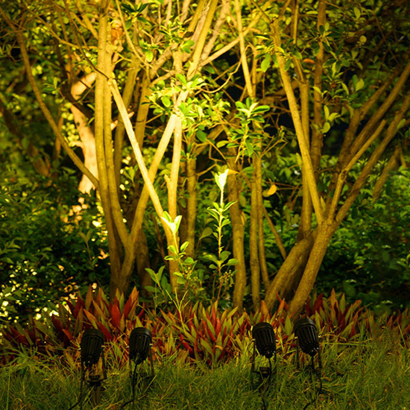 Solar Ground Light