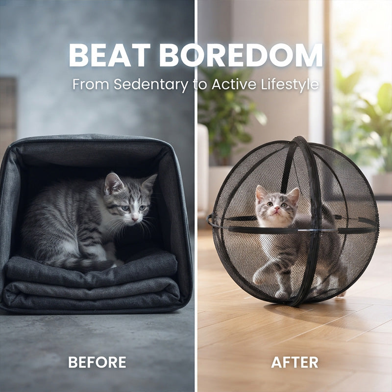 Rolling Outdoor Cat Ball Enclosure