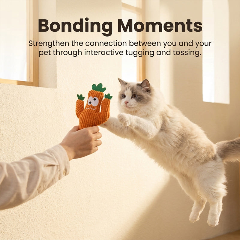 Cat Chewing Toy