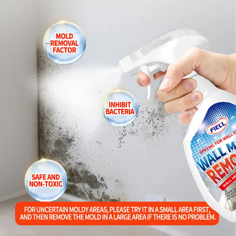Lanwexy Highly Effective Mould Removal Spray