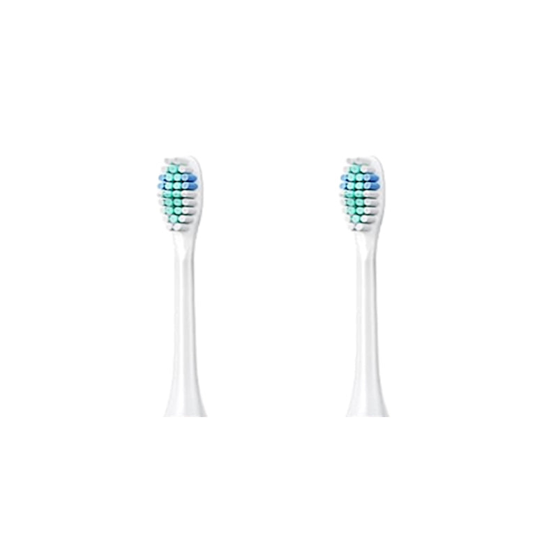 Adult Sonic Electric Toothbrush