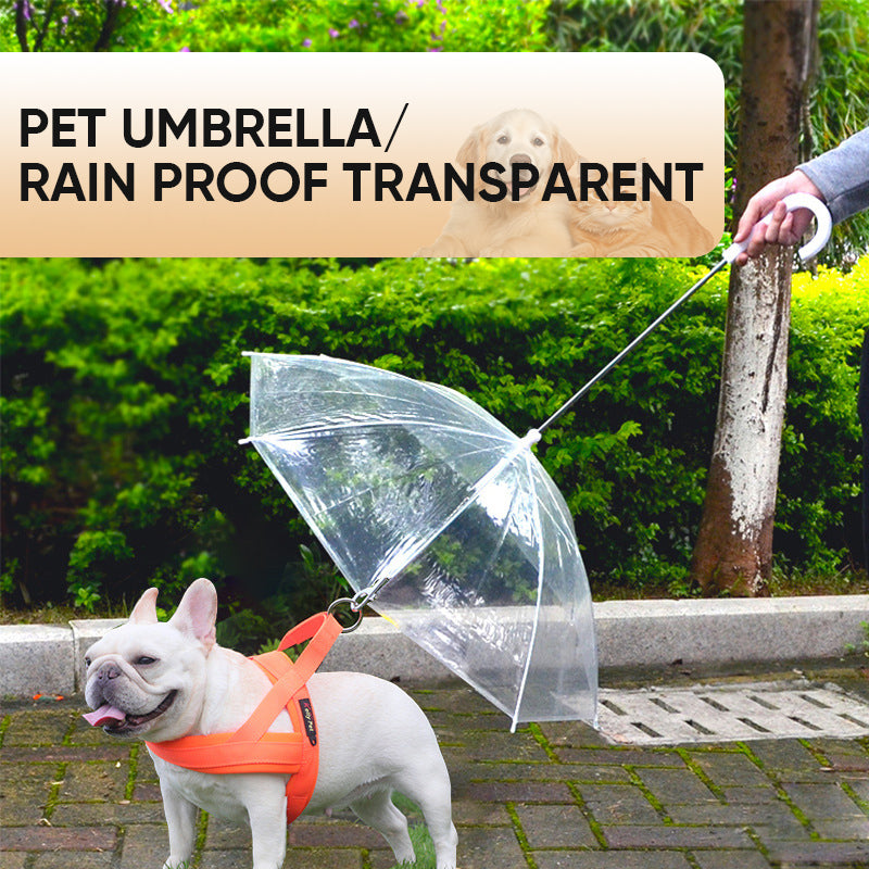 Dog Umbrella