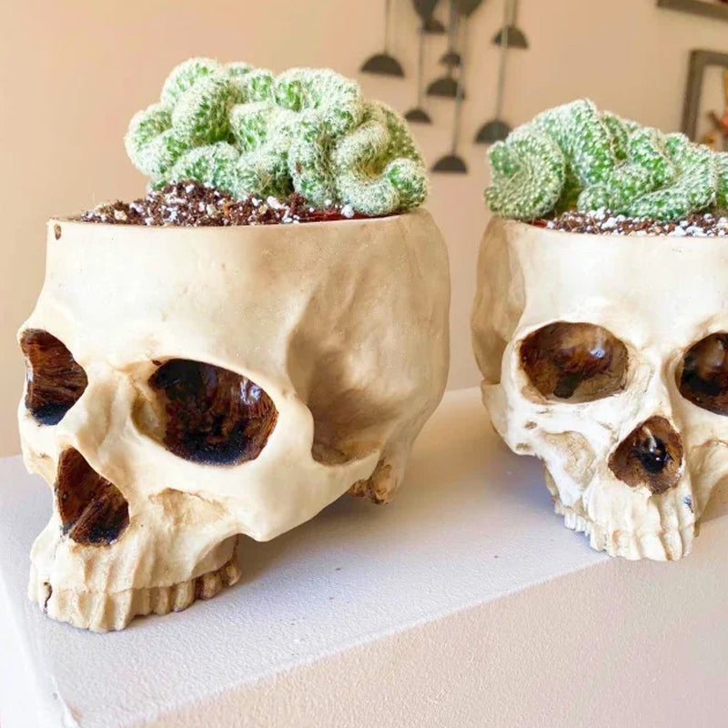 Handmade Skull Flowerpot