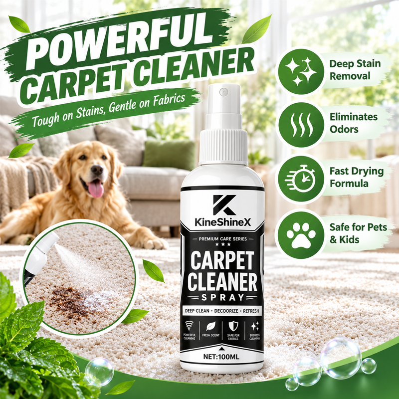 Multifunctional Carpet Cleaner