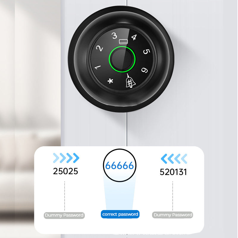 Semiconductor fingerprint lock