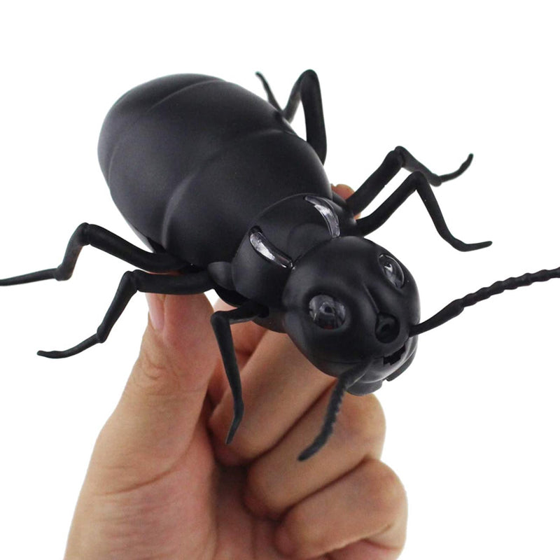 Electric Insect Toy