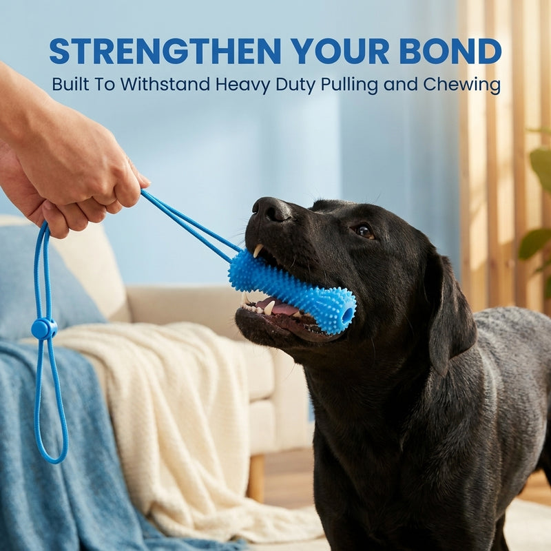 Pet Teeth Grinding and Brushing Stick