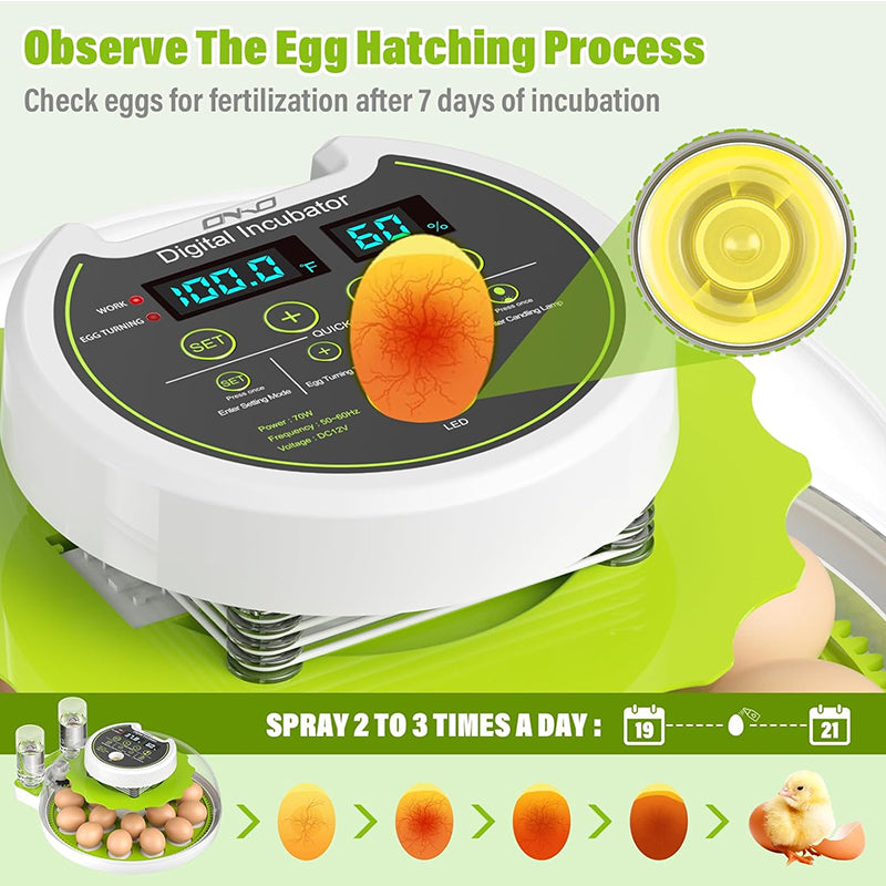 18-Piece Fully Automatic Egg Incubator