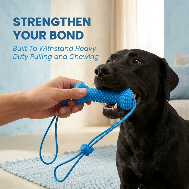 Pet Teeth Grinding and Brushing Stick