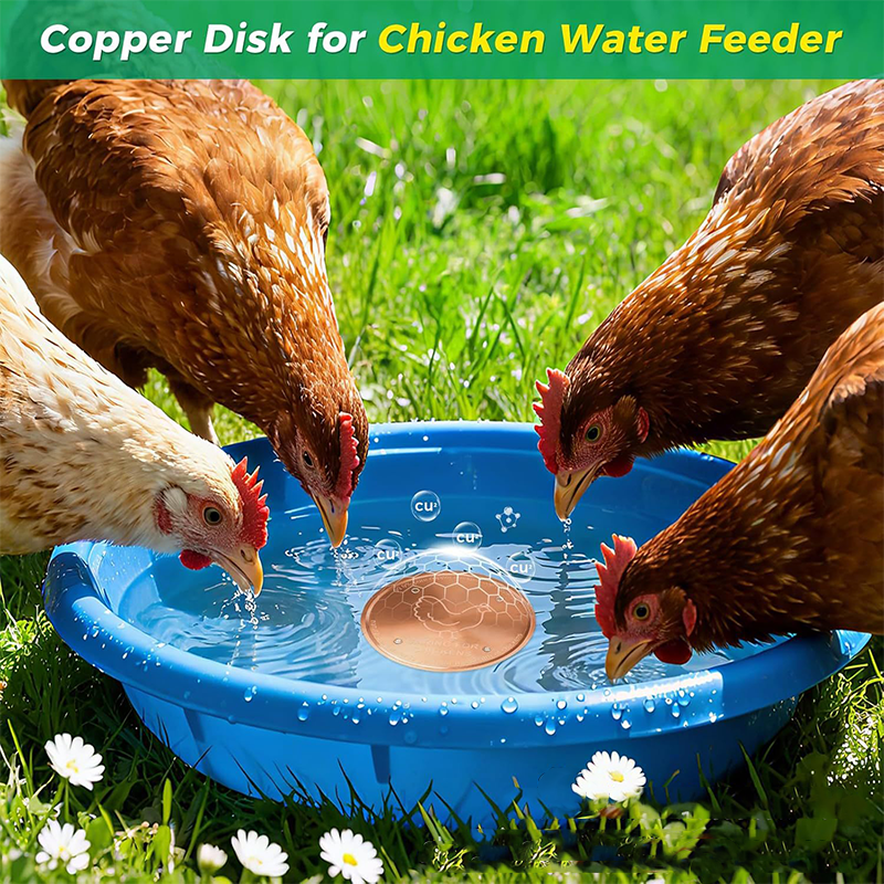 Pet Water Fountain Cleaning Tray
