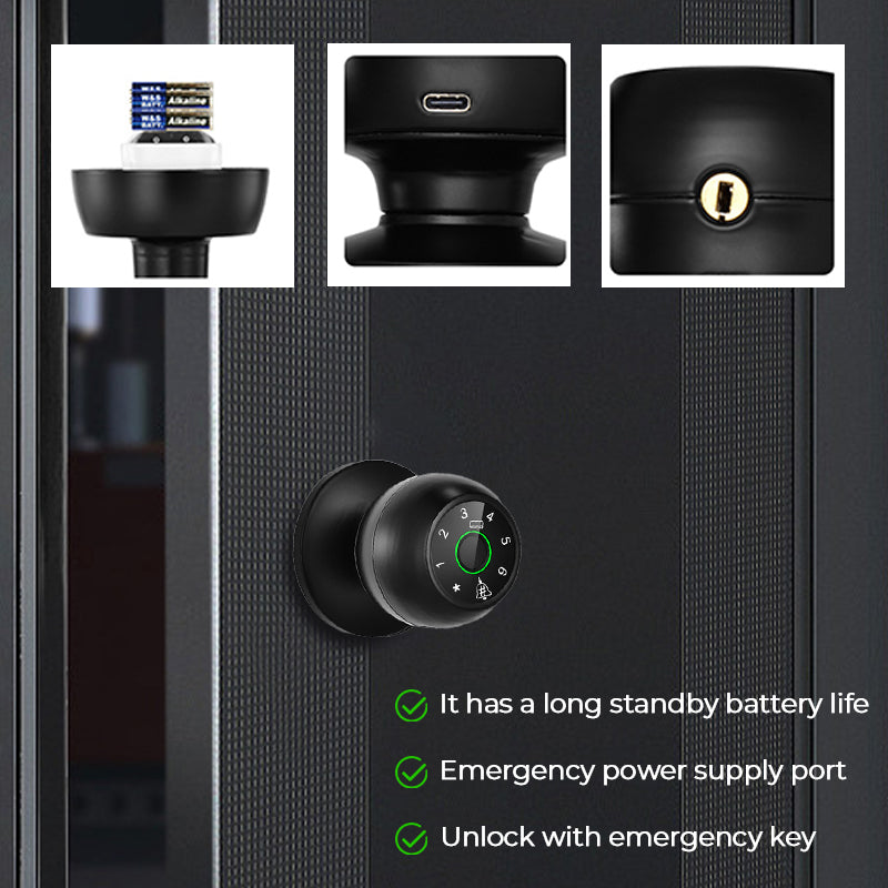 Semiconductor fingerprint lock