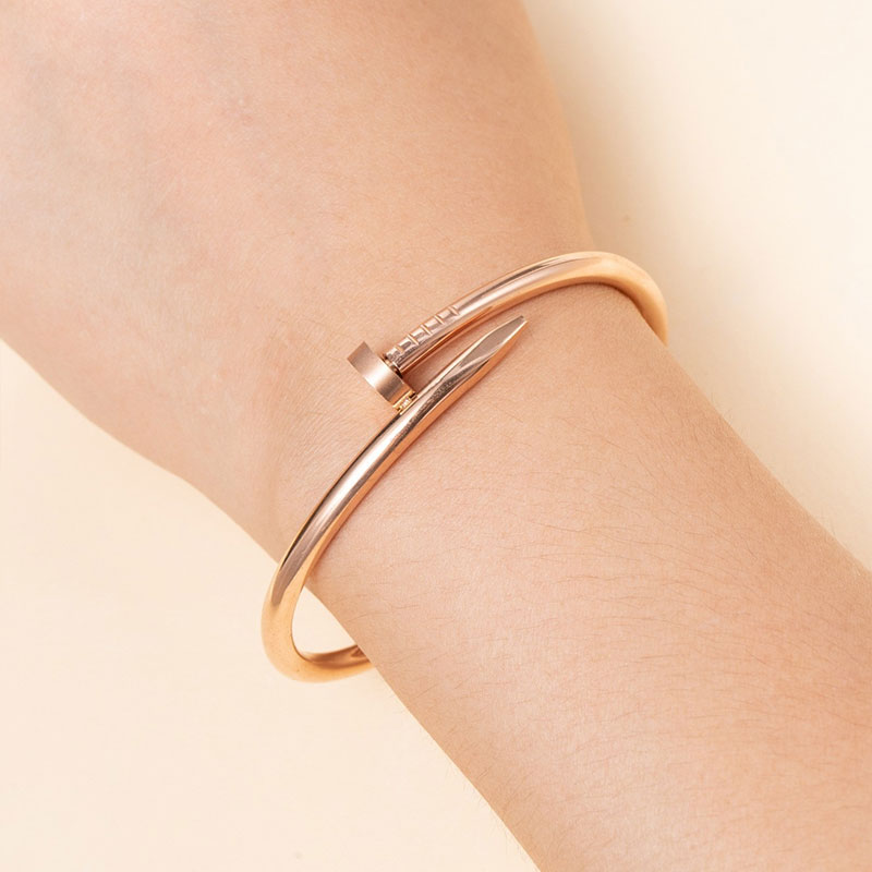 Stainless Steel Versatile Delicate Bangles