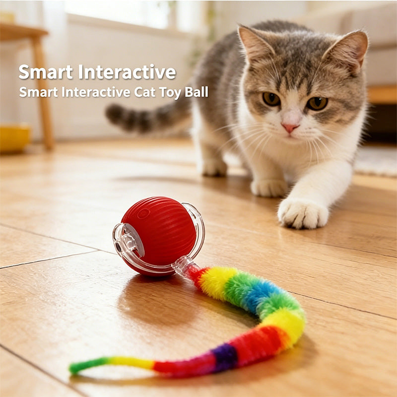 Colorful Caterpillar Cat Teaser Ball