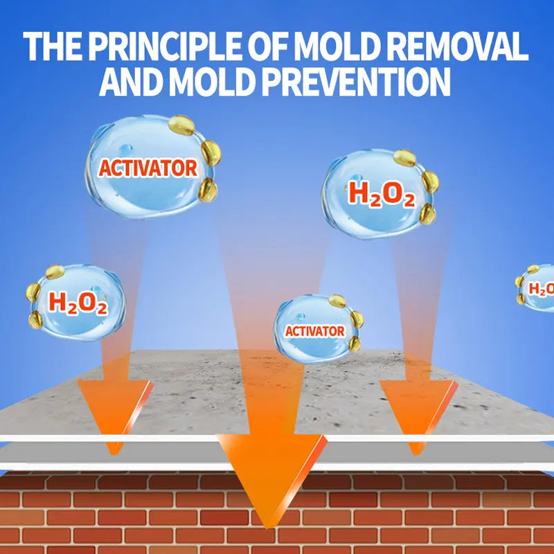 Lanwexy Highly Effective Mould Removal Spray