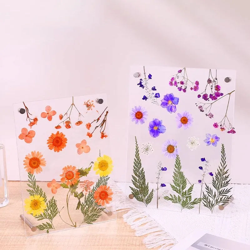 High Clear Acrylic DIY Dried Flower Frame