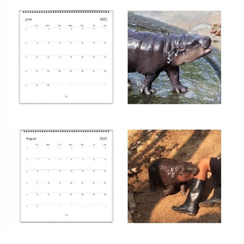 Moo Deng Calendar