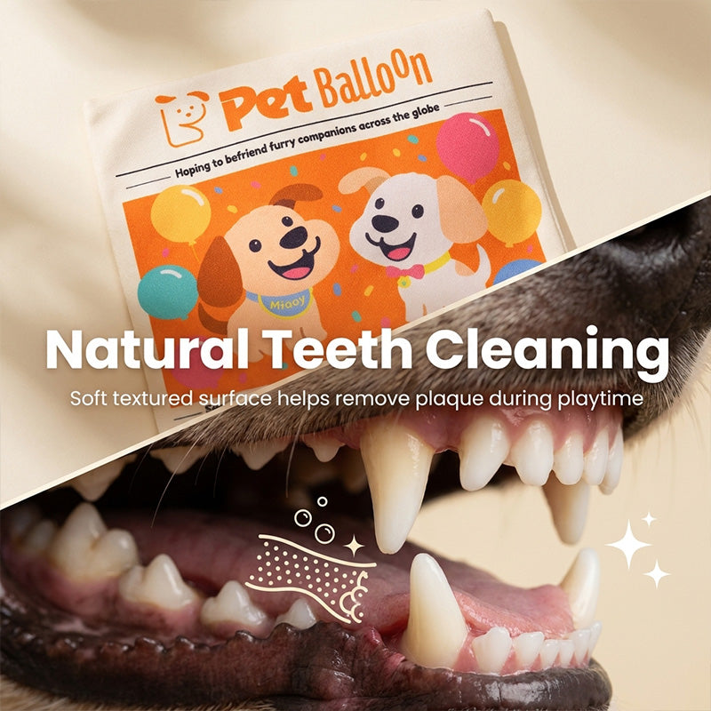 Interactive pet newspaper toy
