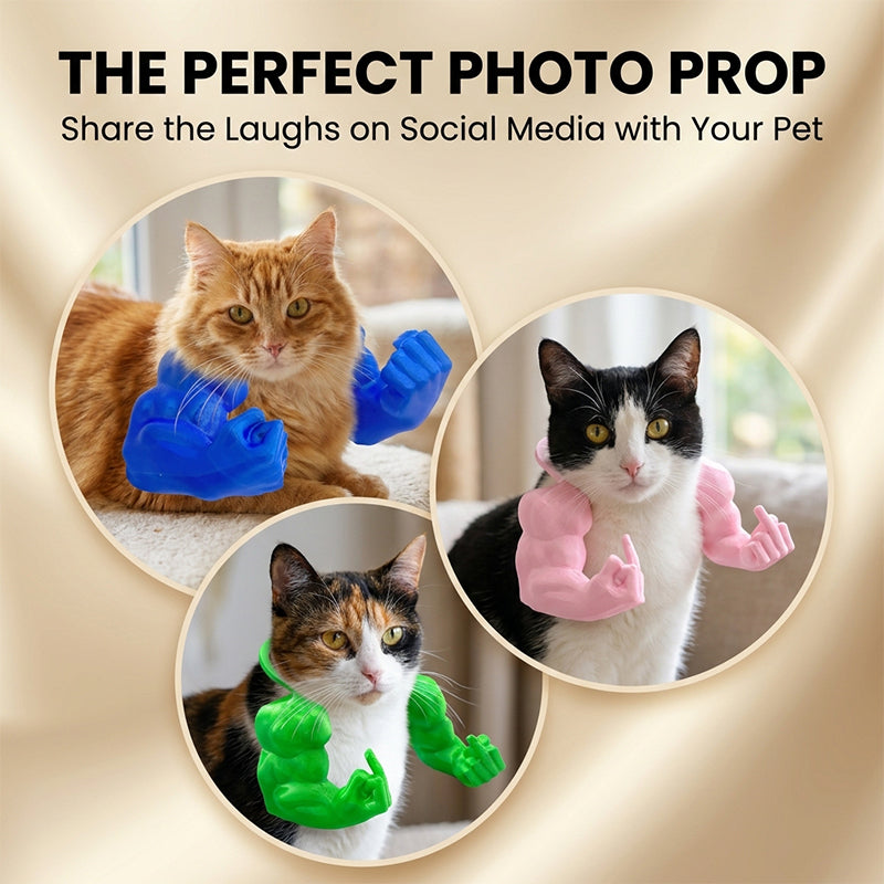 Funny Cat Muscle Arms Toy