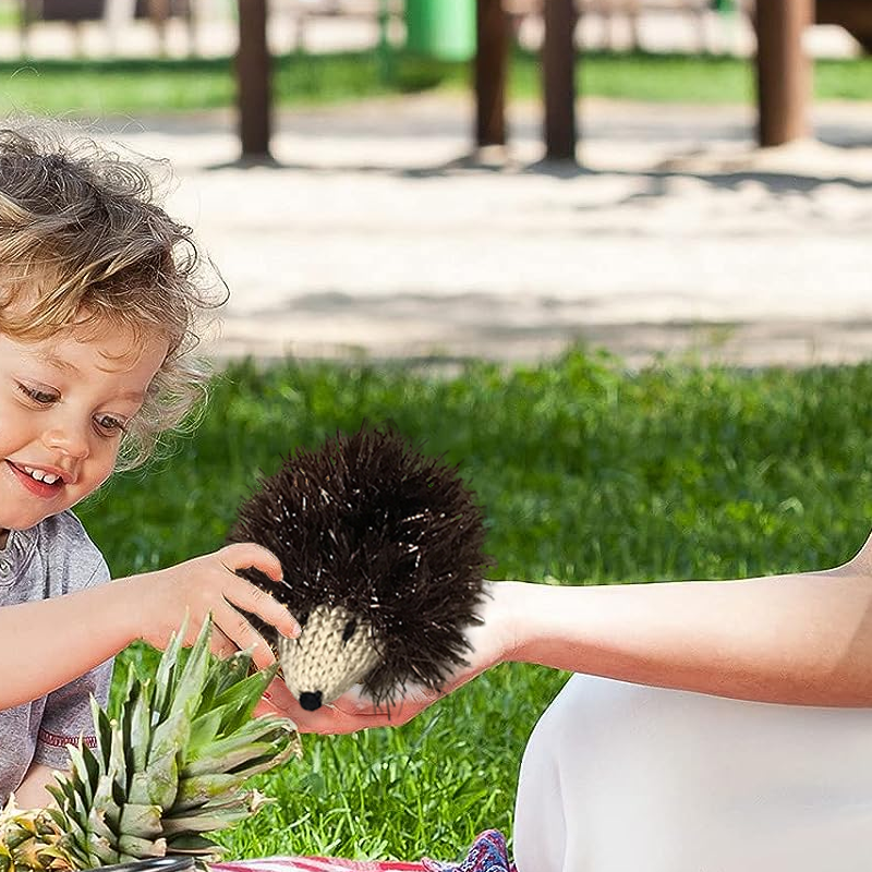 Mini Knitted Hedgehog Decoration