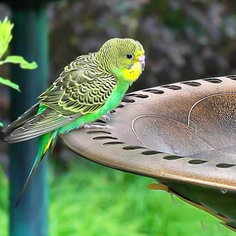 Bird Bath Outdoor