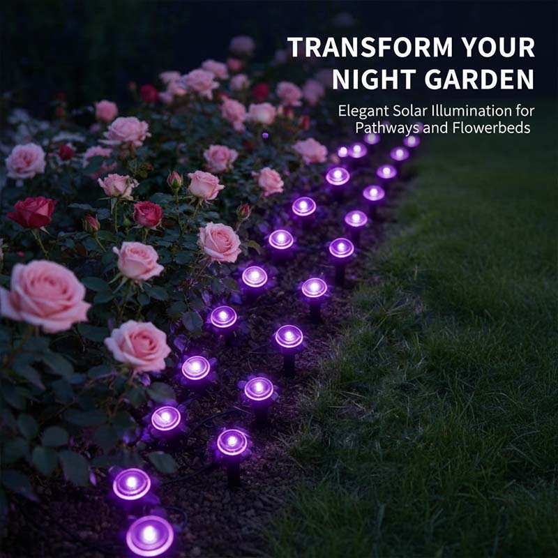Solar pathway light