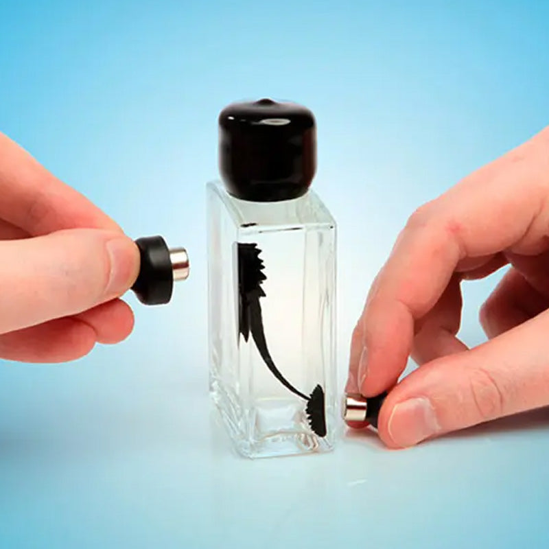 Ferrofluid Toy